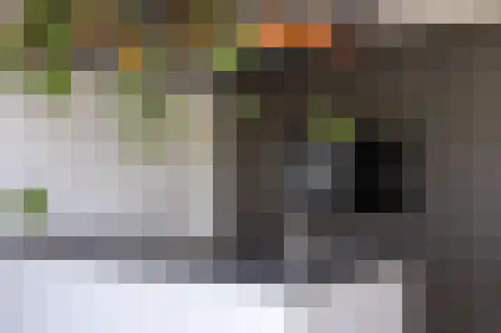 Schapenweide 8 Zwaag thumbnail 17