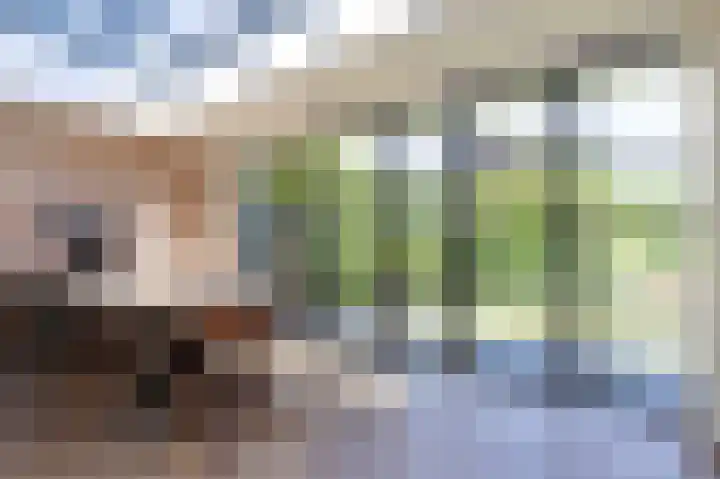 Schapenweide 8 Zwaag thumbnail 18