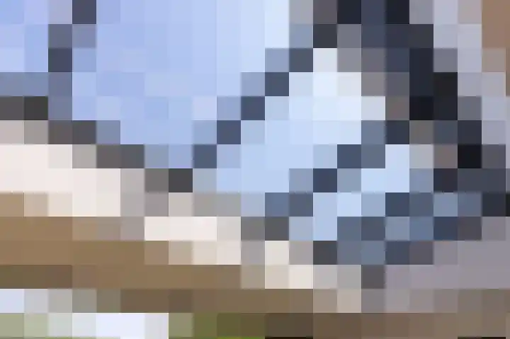 Schapenweide 8 Zwaag thumbnail 20