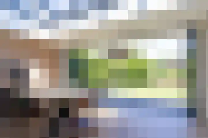 Schapenweide 8 Zwaag thumbnail 21