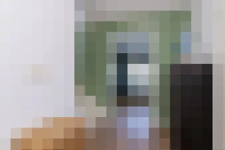 Schapenweide 8 Zwaag thumbnail 22