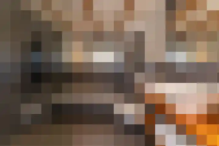 Schapenweide 8 Zwaag thumbnail 25