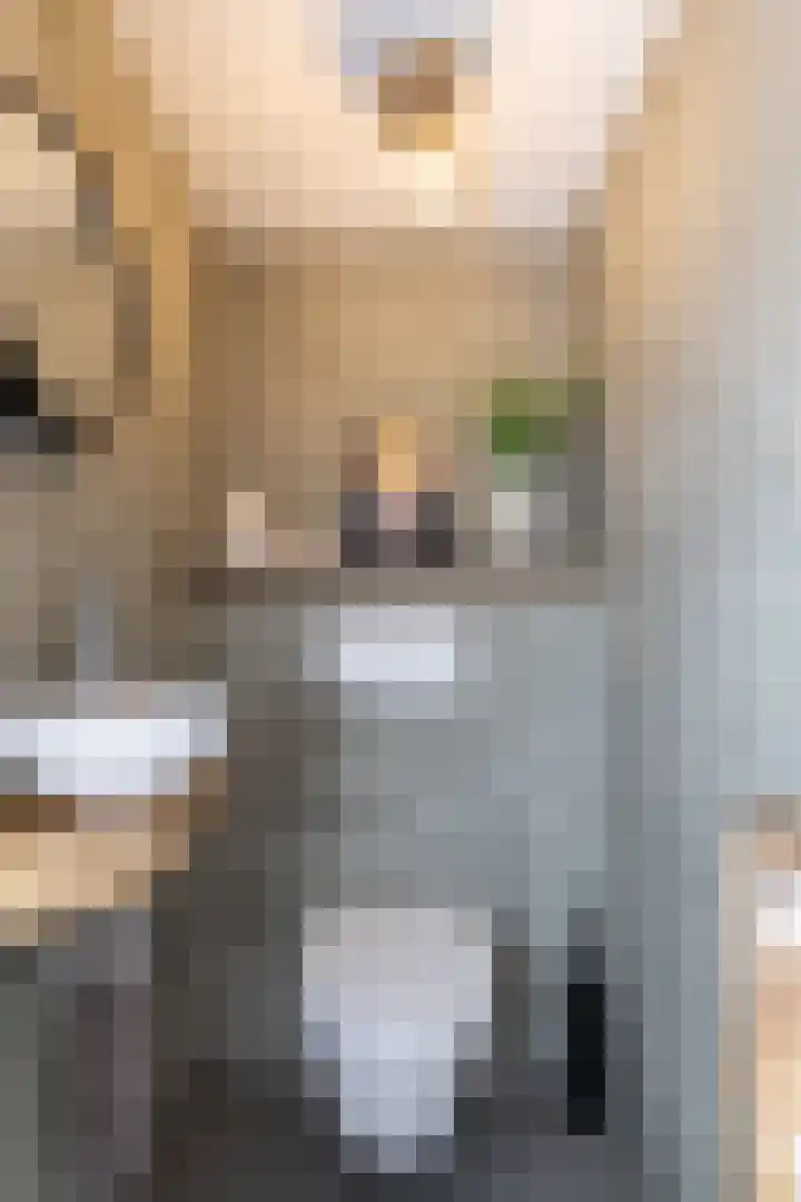 Schapenweide 8 Zwaag thumbnail 30