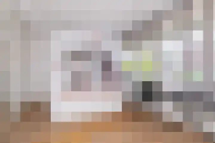 Schapenweide 8 Zwaag thumbnail 31