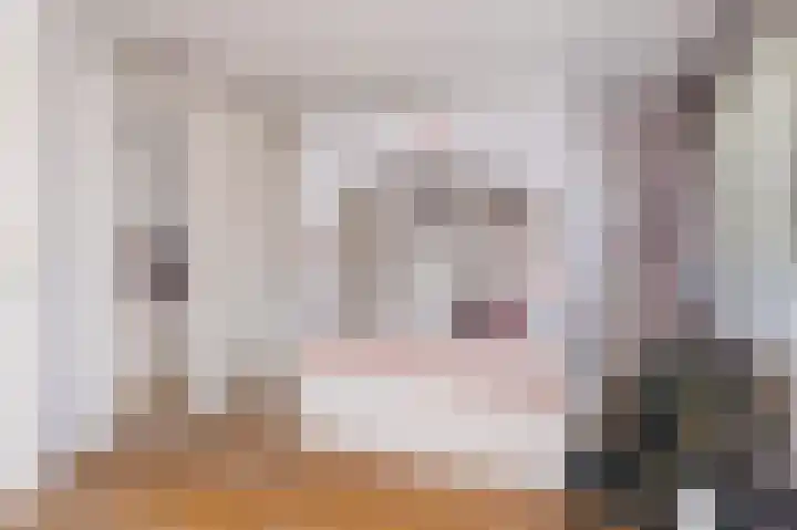 Schapenweide 8 Zwaag thumbnail 33