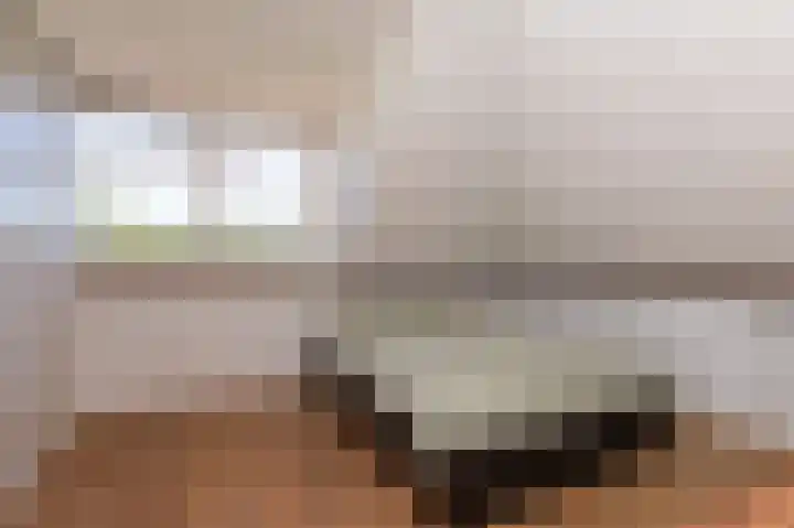 Schapenweide 8 Zwaag thumbnail 35