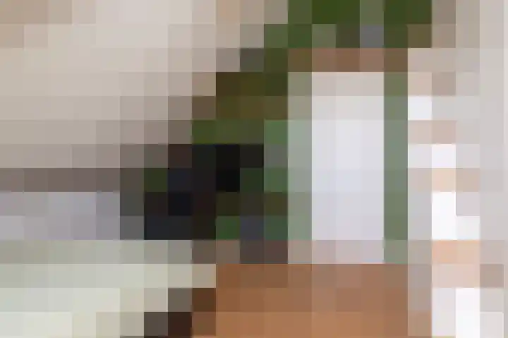 Schapenweide 8 Zwaag thumbnail 36
