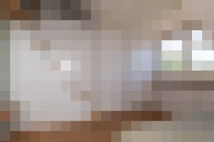 Schapenweide 8 Zwaag thumbnail 37
