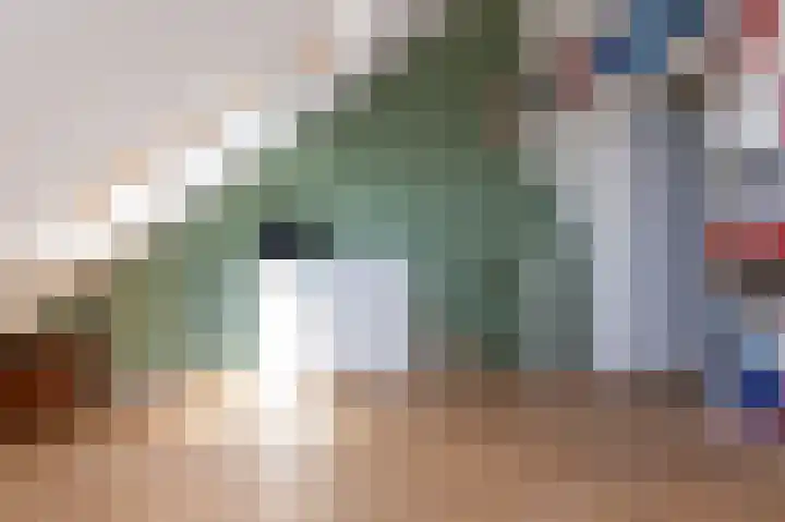 Schapenweide 8 Zwaag thumbnail 38