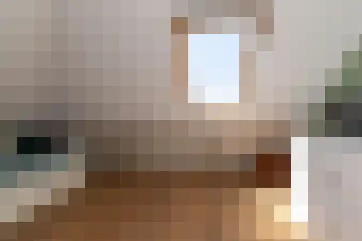 Schapenweide 8 Zwaag thumbnail 39