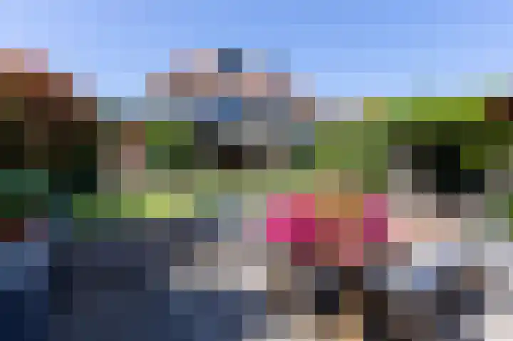 Schapenweide 8 Zwaag thumbnail 4