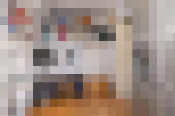 Schapenweide 8 Zwaag thumbnail 40