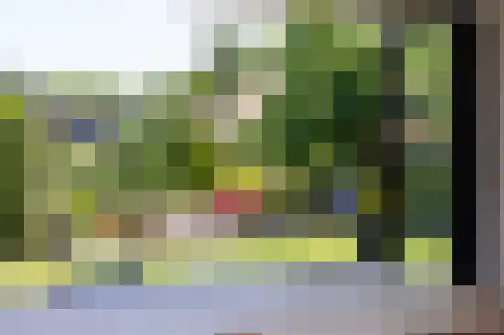 Schapenweide 8 Zwaag thumbnail 42