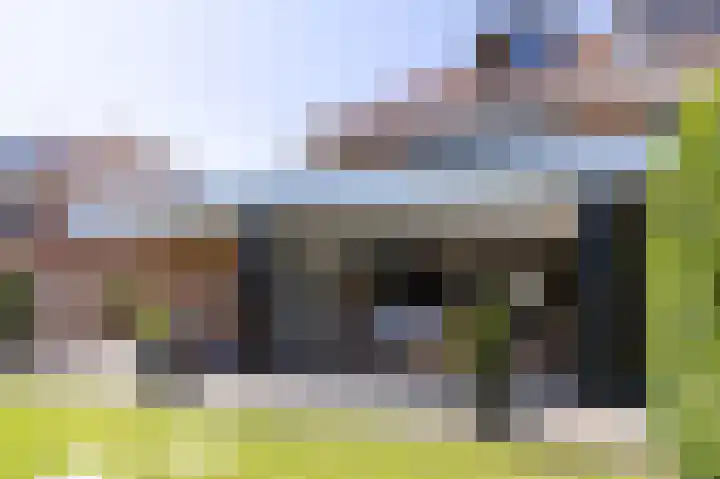 Schapenweide 8 Zwaag thumbnail 43