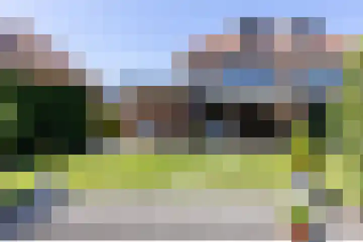 Schapenweide 8 Zwaag thumbnail 45