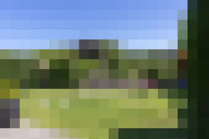 Schapenweide 8 Zwaag thumbnail 46