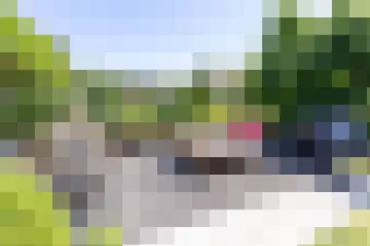 Schapenweide 8 Zwaag thumbnail 47
