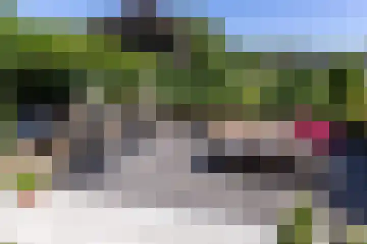 Schapenweide 8 Zwaag thumbnail 48