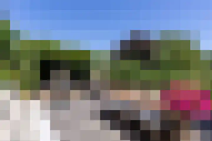 Schapenweide 8 Zwaag thumbnail 49