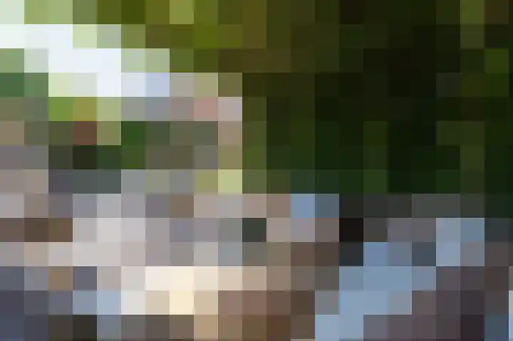 Schapenweide 8 Zwaag thumbnail 50