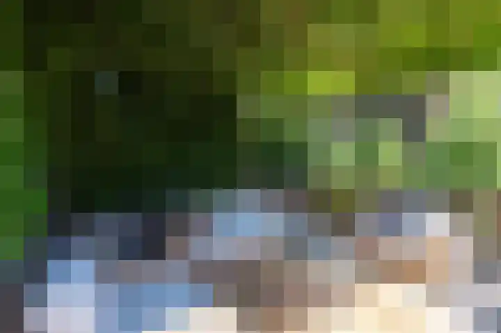 Schapenweide 8 Zwaag thumbnail 51