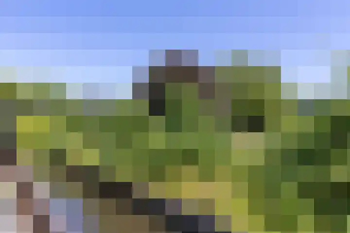 Schapenweide 8 Zwaag thumbnail 52