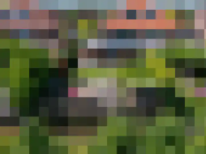 Schapenweide 8 Zwaag thumbnail 53