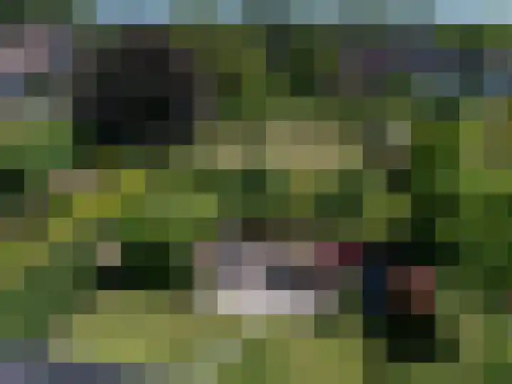 Schapenweide 8 Zwaag thumbnail 55