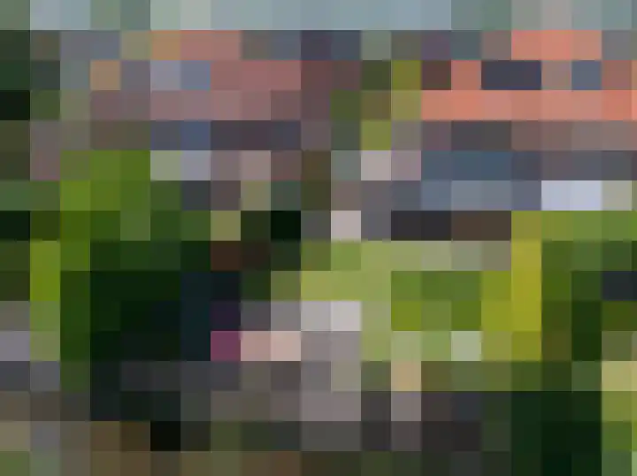 Schapenweide 8 Zwaag thumbnail 56
