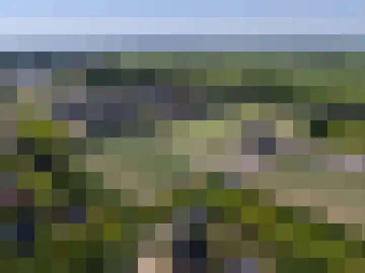 Schapenweide 8 Zwaag thumbnail 58