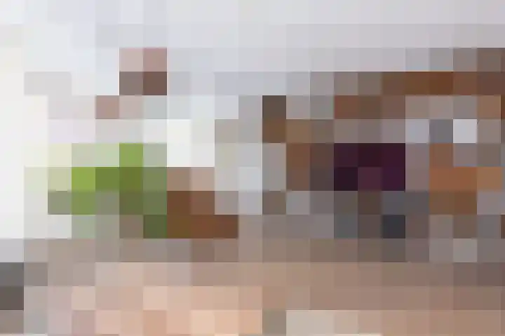 Schapenweide 8 Zwaag thumbnail 6