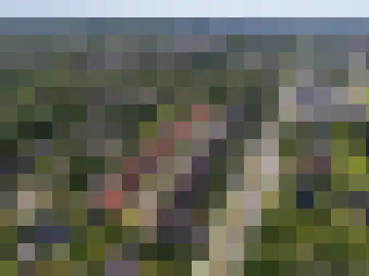 Schapenweide 8 Zwaag thumbnail 60