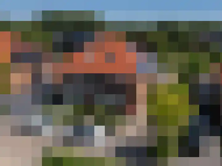 Schapenweide 8 Zwaag thumbnail 61