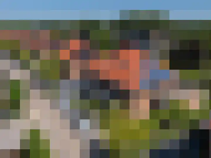 Schapenweide 8 Zwaag thumbnail 62