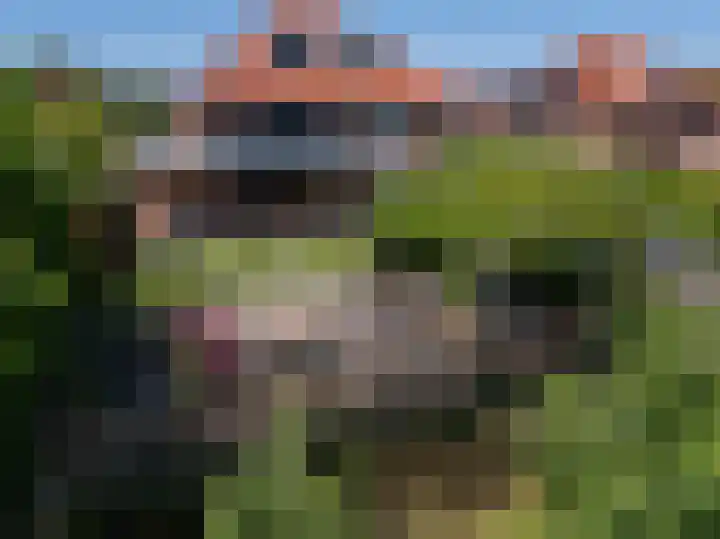 Schapenweide 8 Zwaag thumbnail 63