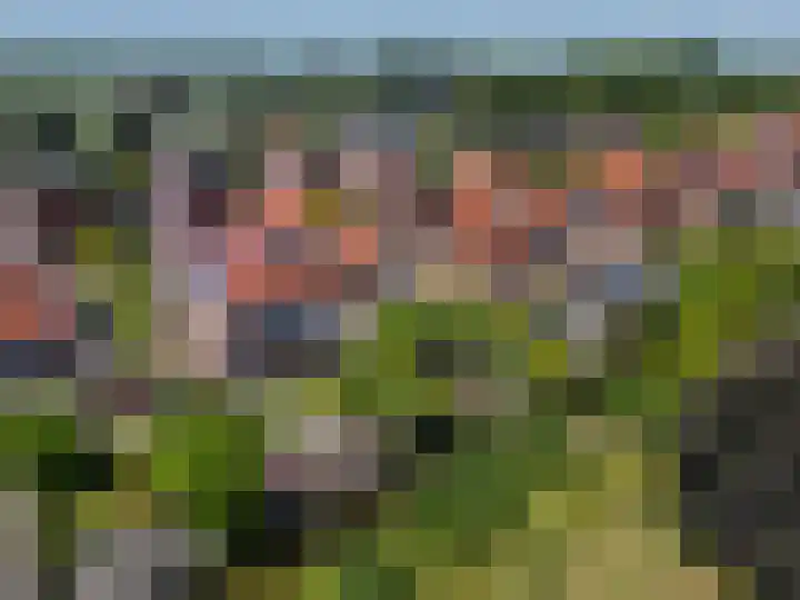 Schapenweide 8 Zwaag thumbnail 64