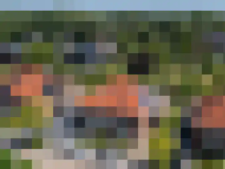 Schapenweide 8 Zwaag thumbnail 65