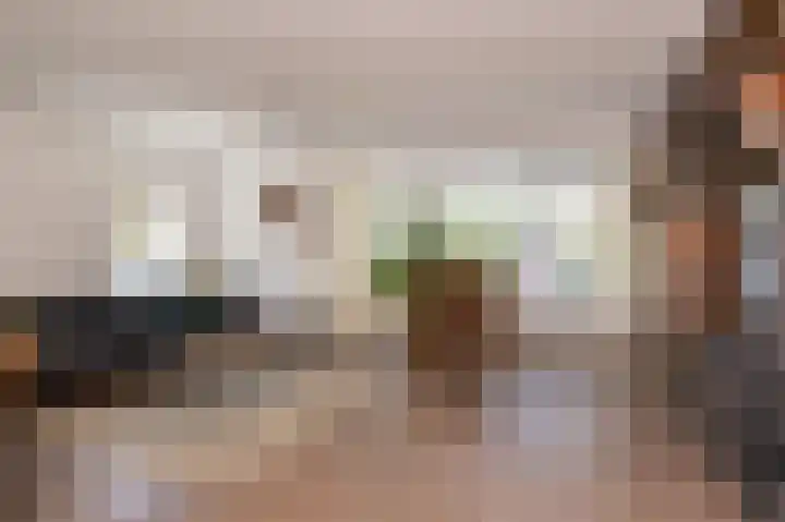 Schapenweide 8 Zwaag thumbnail 7