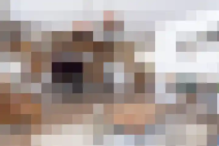 Schapenweide 8 Zwaag thumbnail 8