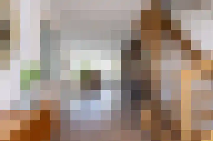 Schapenweide 8 Zwaag thumbnail 9
