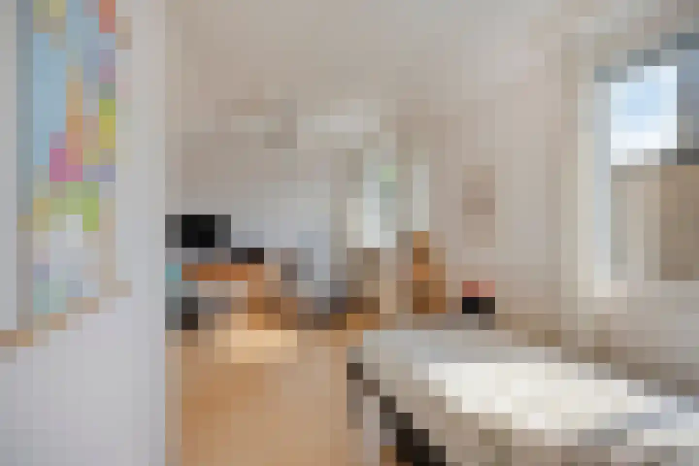 Schapenweide 9 Leiderdorp thumbnail 32