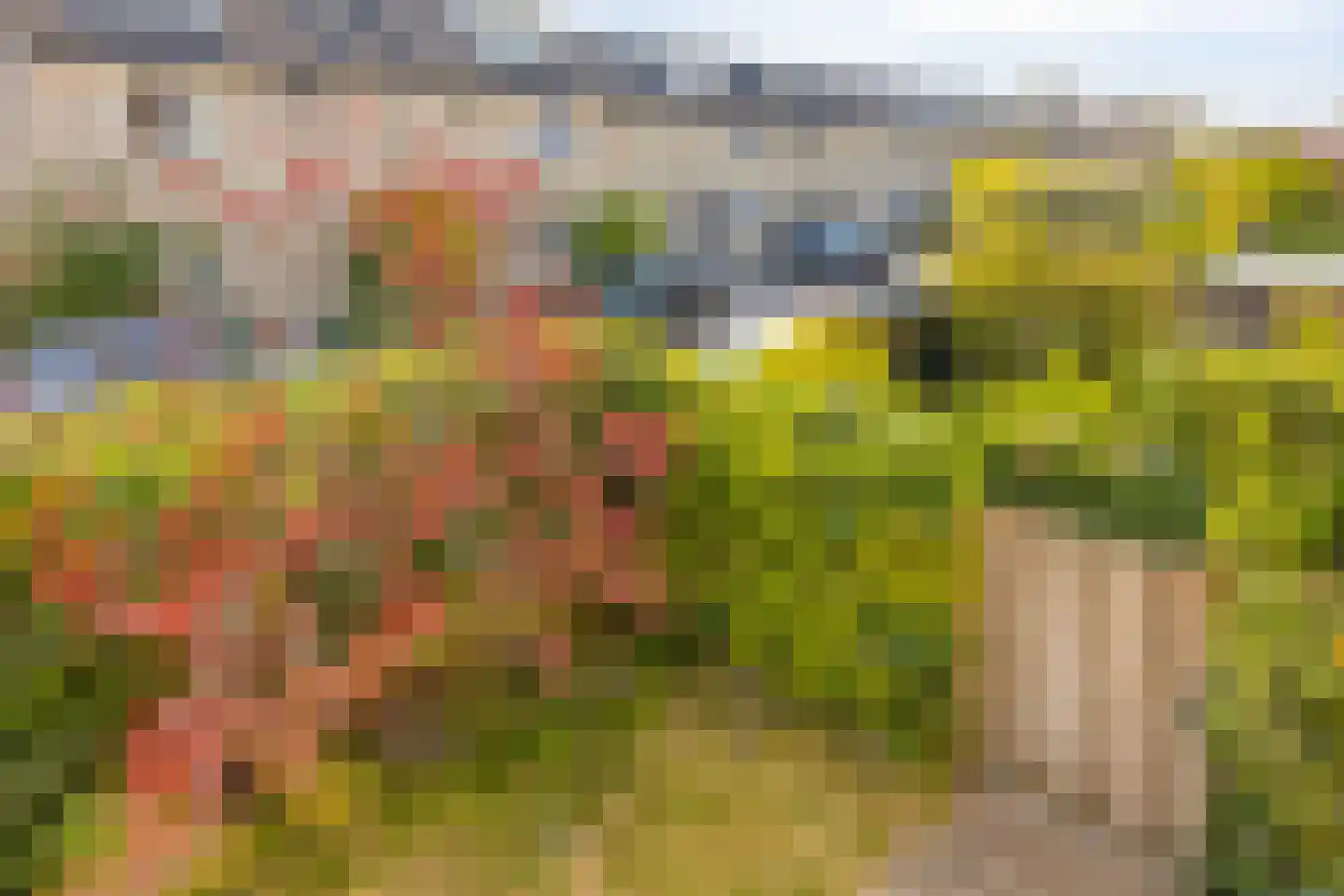 Schapenweide 9 Leiderdorp thumbnail 39