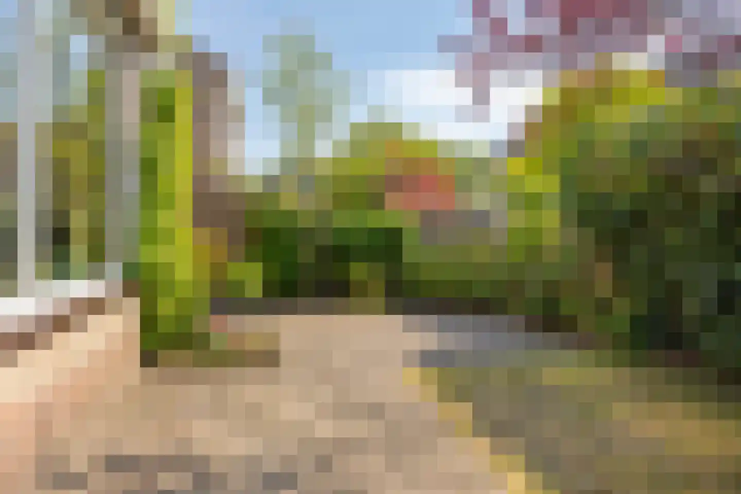 Schapenweide 9 Leiderdorp thumbnail 4