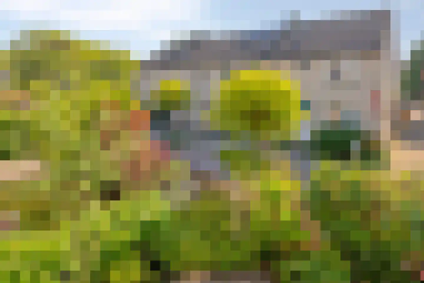 Schapenweide 9 Leiderdorp thumbnail 40