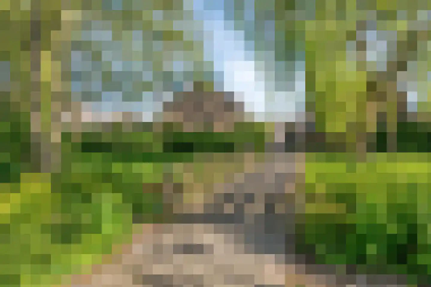 Schapenweide 9 Leiderdorp thumbnail 45