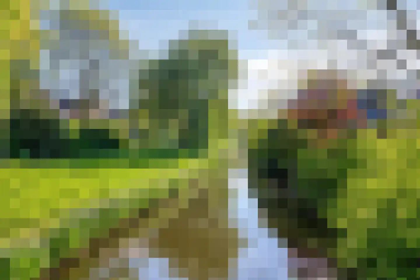 Schapenweide 9 Leiderdorp thumbnail 46
