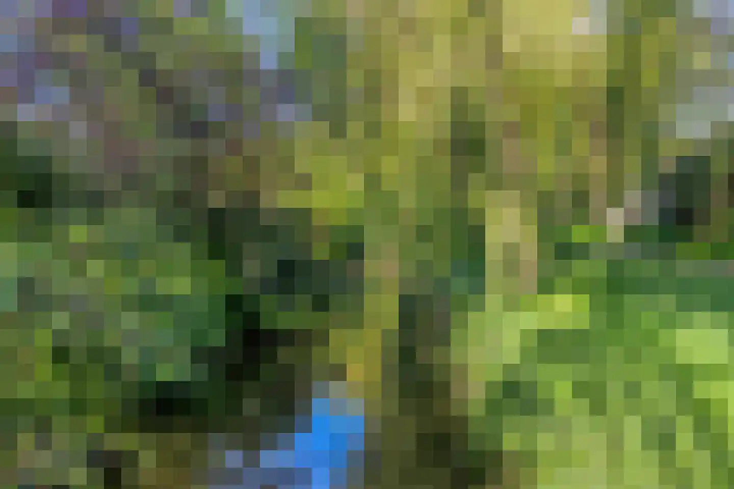Schapenweide 9 Leiderdorp thumbnail 47
