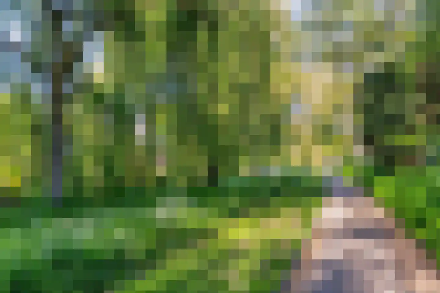 Schapenweide 9 Leiderdorp thumbnail 48
