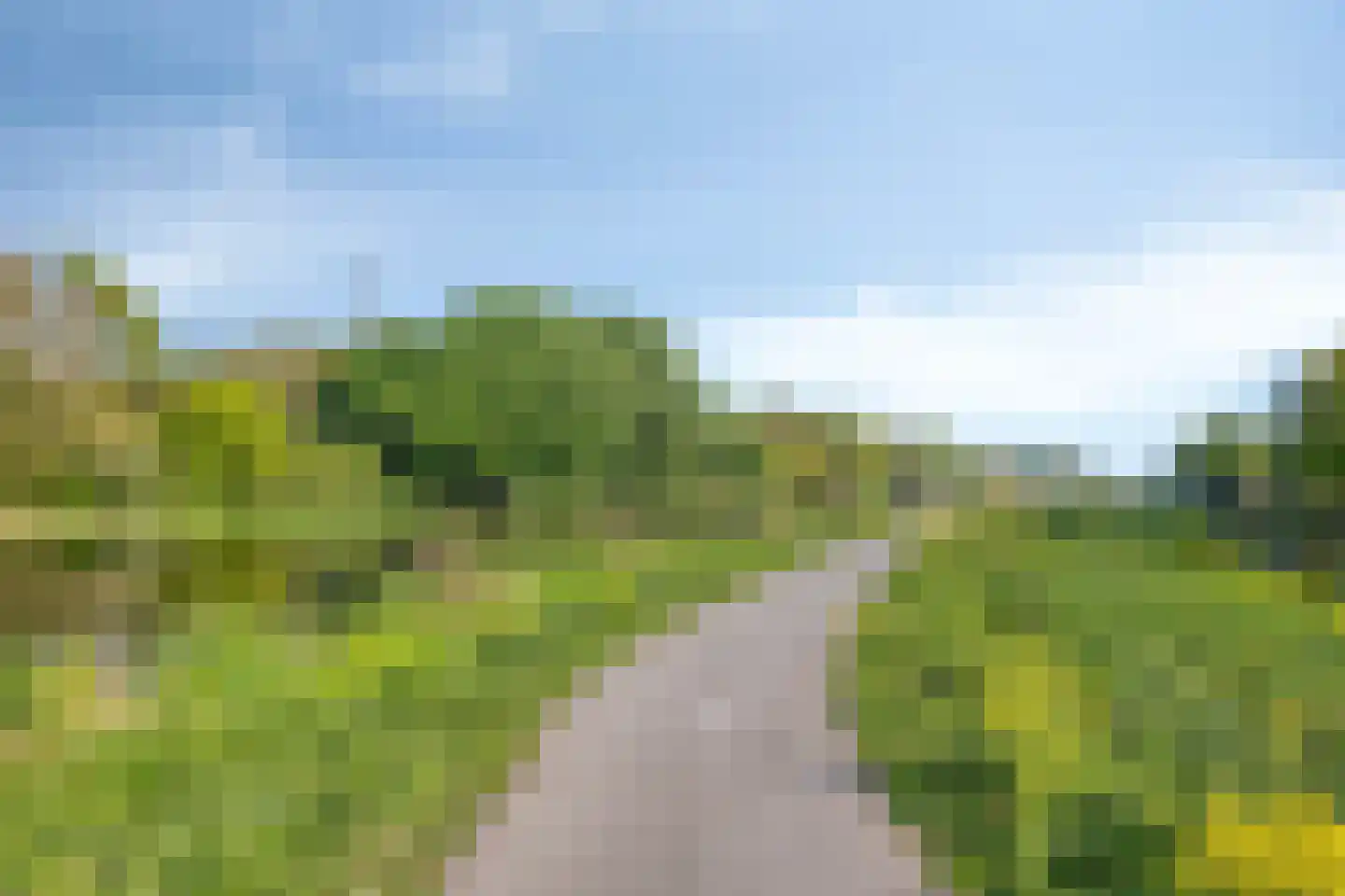 Schapenweide 9 Leiderdorp thumbnail 50