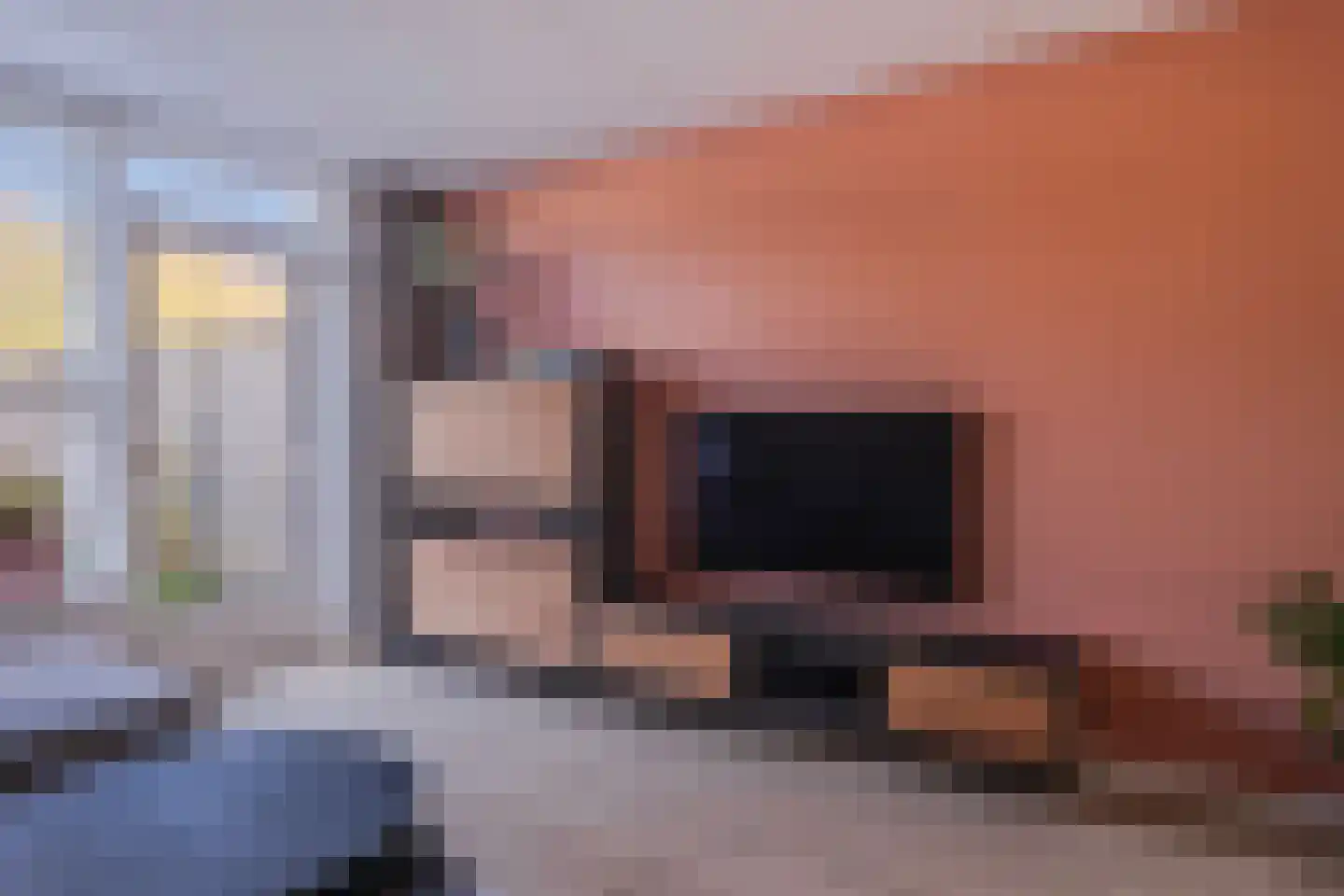 Schapenweide 94 Duiven thumbnail 19